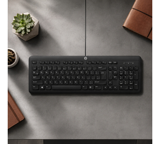Hp K160 Wired Desktop Keyboard