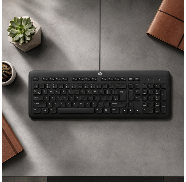 Hp K160 Wired Desktop Keyboard
